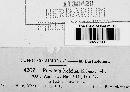 Puccinia hordei image