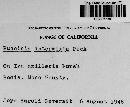 Puccinia intermixta image