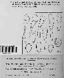 Puccinia poculiformis image