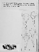 Puccinia vexans image