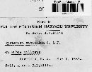 Hysterium viticola image