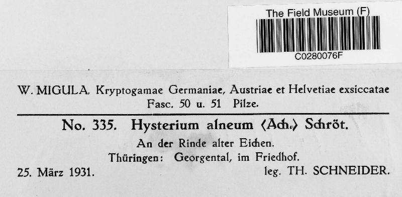 Hysterium alneum image