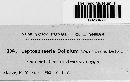 Leptosphaeria doliolum image