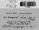 Stemphylium vesicarium image