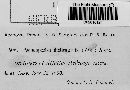Pseudopeziza medicaginis image