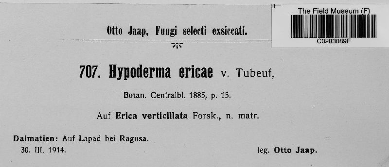 Hypoderma ericae image