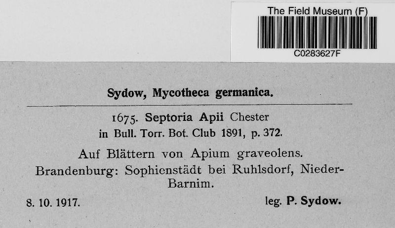 Septoria apii image