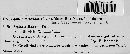 Septoria dictamni image