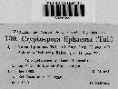 Cryptospora leiphaema image