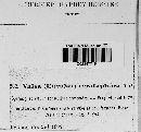 Valsa ceratophora image