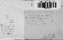 Image of Hypocopra fimeti