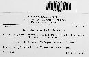 Blumeria graminis image