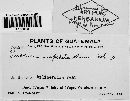 Puccinia impedita image