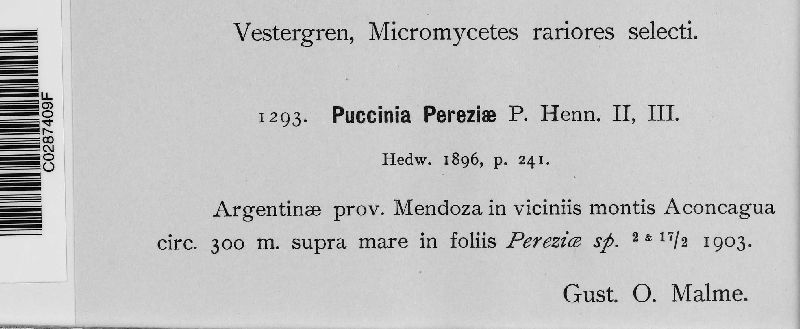 Puccinia pereziae image