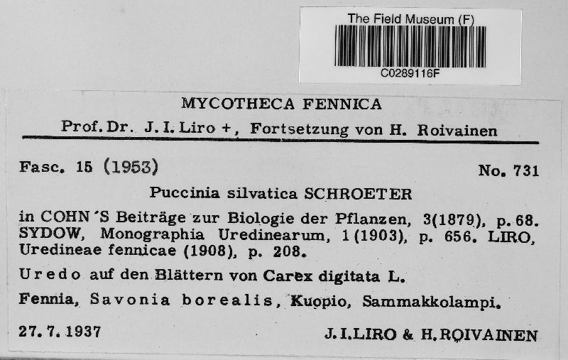 Puccinia dioicae var. silvatica image