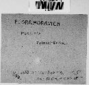 Puccinia hordei image