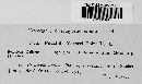 Puccinia veratri image