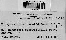 Uromyces proëminens image