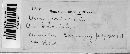 Uromyces geranii image