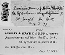 Pucciniastrum epilobii image