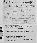 Pucciniastrum epilobii image