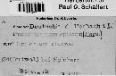 Pucciniastrum epilobii image