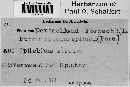Pucciniastrum epilobii image