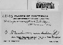 Uredinopsis pteridis image