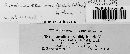 Puccinia ceanothi image
