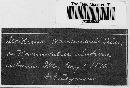 Aecidium ranunculi image