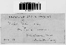 Cerotelium fici image