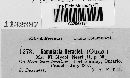 Ramularia heraclei image