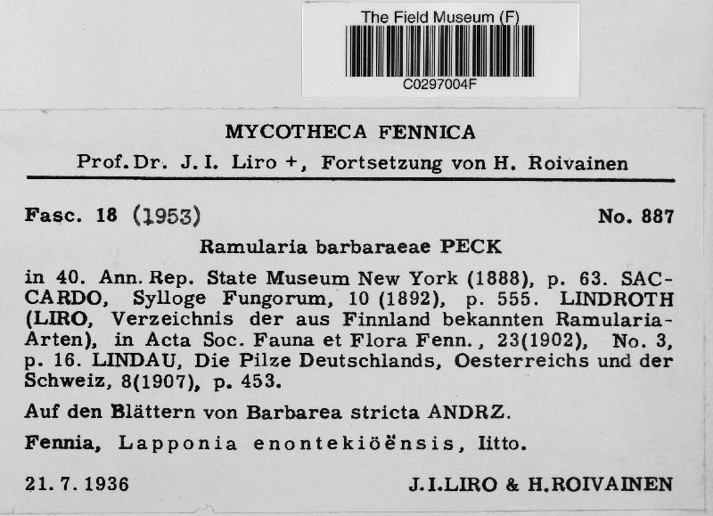 Ramularia barbaraeae image