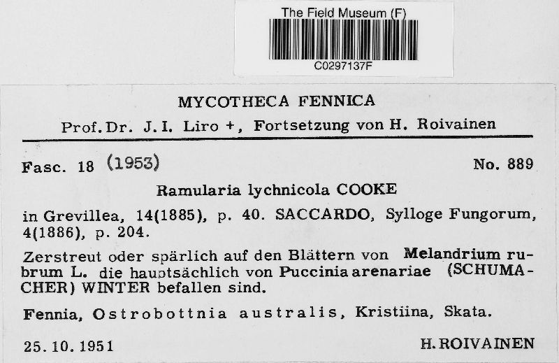 Ramularia lychnicola image