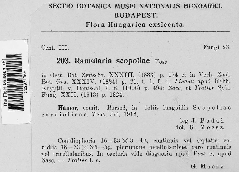Ramularia scopoliae image