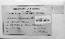 Blumeria graminis image
