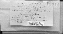 Stemphylium vesicarium image