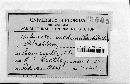 Kuehneola uredinis image