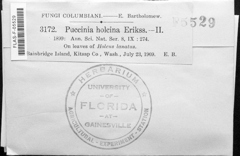 Puccinia hordei image