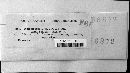 Melampsora lini image