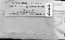 Cronartium quercuum image