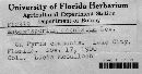 Diplocarpon mespili image