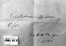 Fusicladium effusum image
