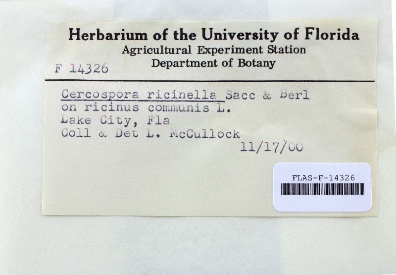 Cercospora ricinella image