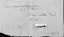 Fusarium oxysporum image