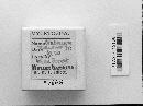 Craterium minutum image