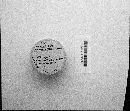 Metatrichia vesparium image