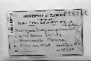 Uromyces hedysari-obscuri image