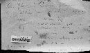 Agaricus floridanus image