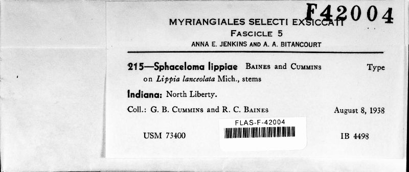 Sphaceloma lippiae image